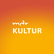 MDR KULTUR Peter Zudeicks Woche in Berlin-Logo